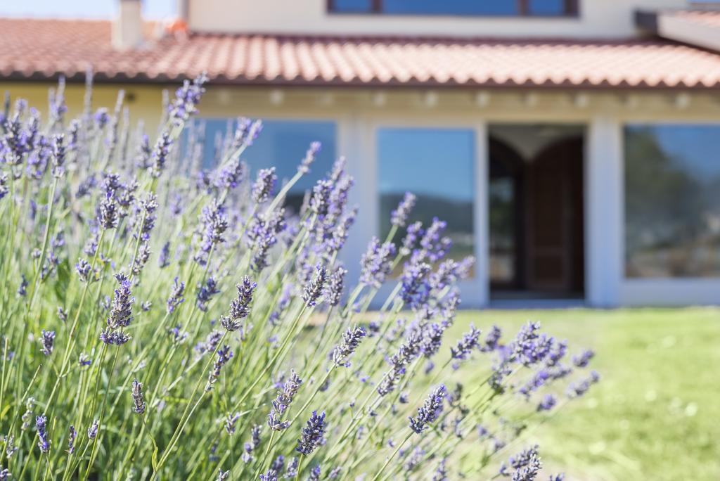 Agriturismo Terre Di Castiglione Castiglione della Pescaia Kültér fotó