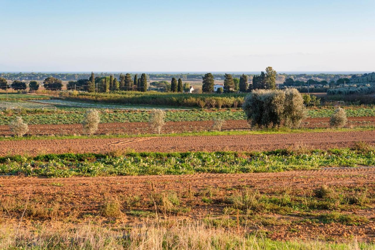 Agriturismo Terre Di Castiglione Castiglione della Pescaia Kültér fotó