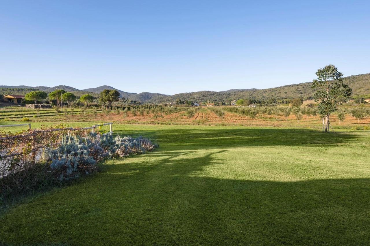 Agriturismo Terre Di Castiglione Castiglione della Pescaia Kültér fotó