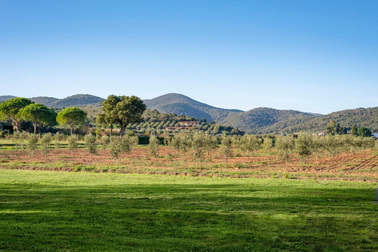 Agriturismo Terre Di Castiglione Castiglione della Pescaia Kültér fotó