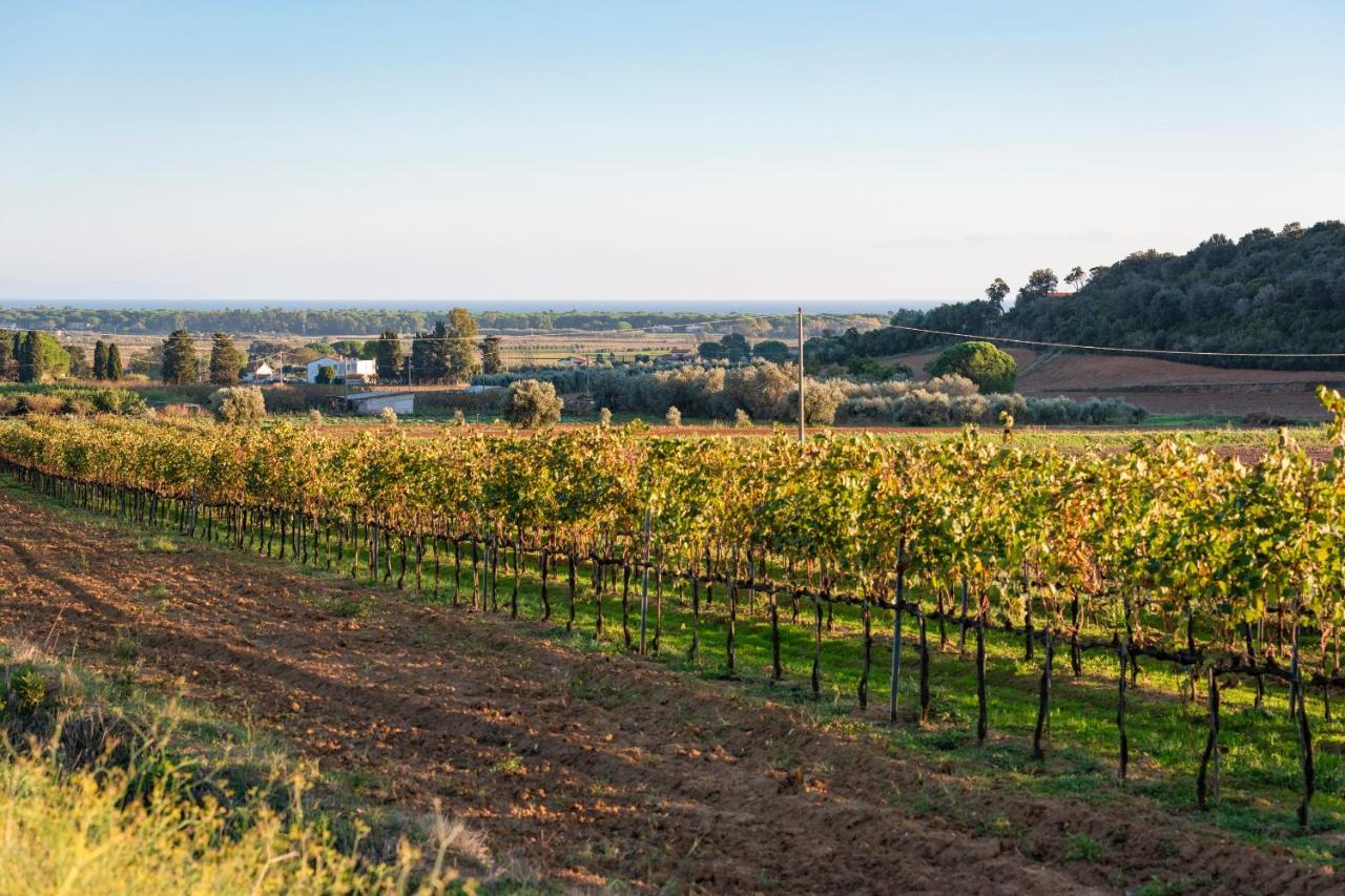 Agriturismo Terre Di Castiglione Castiglione della Pescaia Kültér fotó