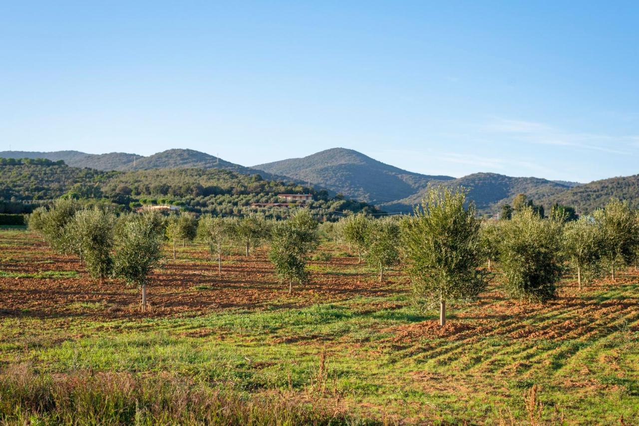 Agriturismo Terre Di Castiglione Castiglione della Pescaia Kültér fotó